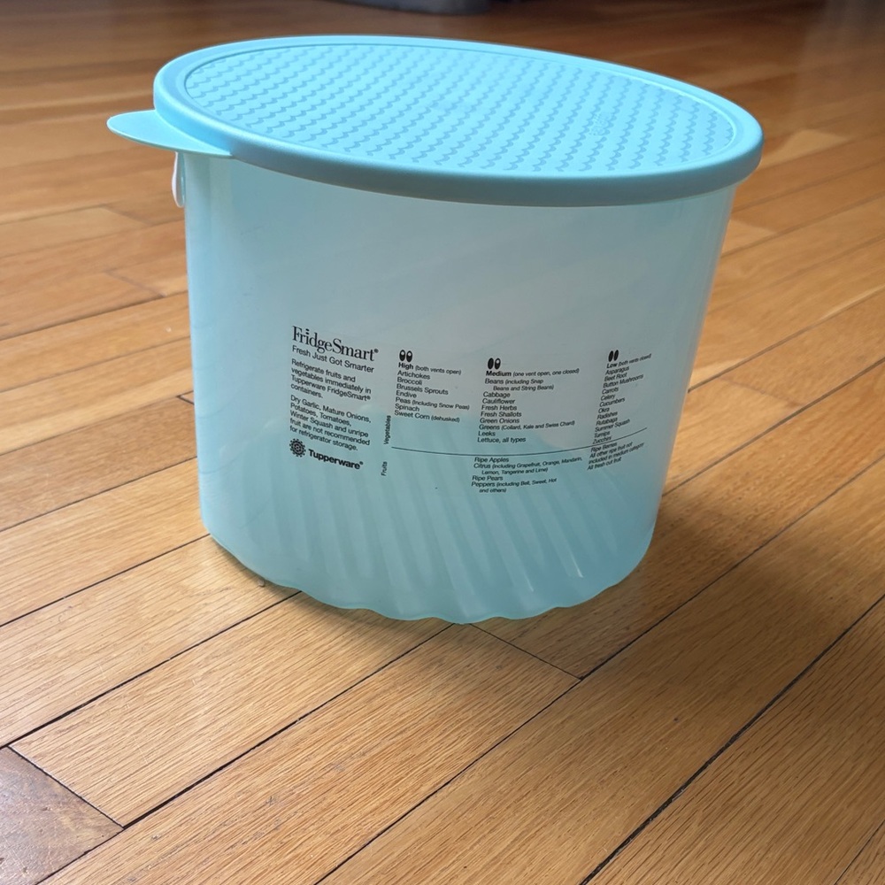 Tupperware FridgeSmart in Aqua
